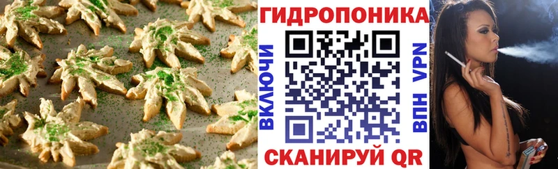 хочу наркоту  Дагестанские Огни  Canna-Cookies марихуана 