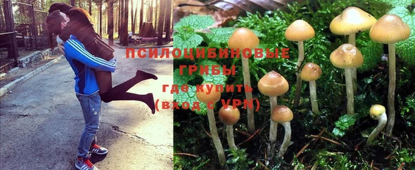 марихуана Богданович