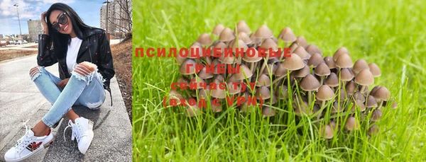 первитин Богородск