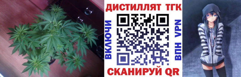 Дистиллят ТГК Wax  купить наркоту  Дагестанские Огни 